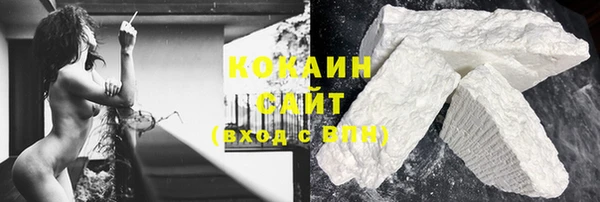 прущие грибы Абинск