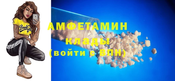 прущие грибы Абинск