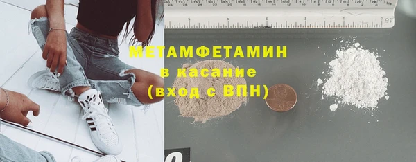 прущие грибы Абинск