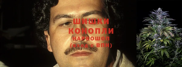 прущие грибы Абинск