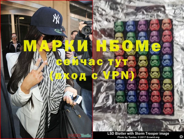 прущие грибы Абинск