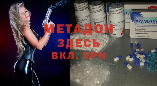 прущие грибы Абинск