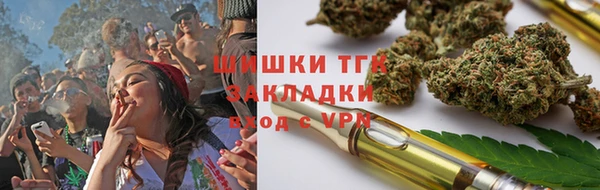 прущие грибы Абинск
